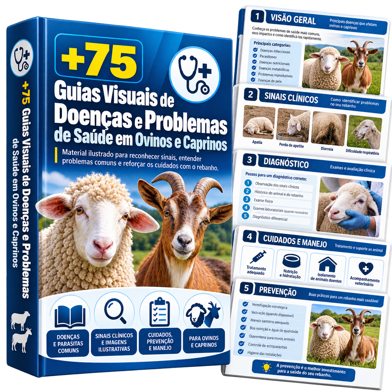 Guias visuais de doenças e problemas de saúde em ovinos e caprinos