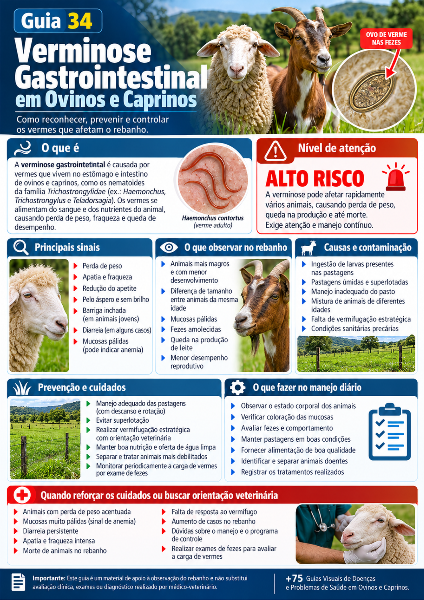 Prévia do guia visual sobre verminose gastrointestinal em ovinos e caprinos
